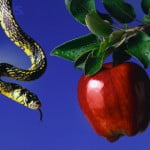 Serpent and Apple