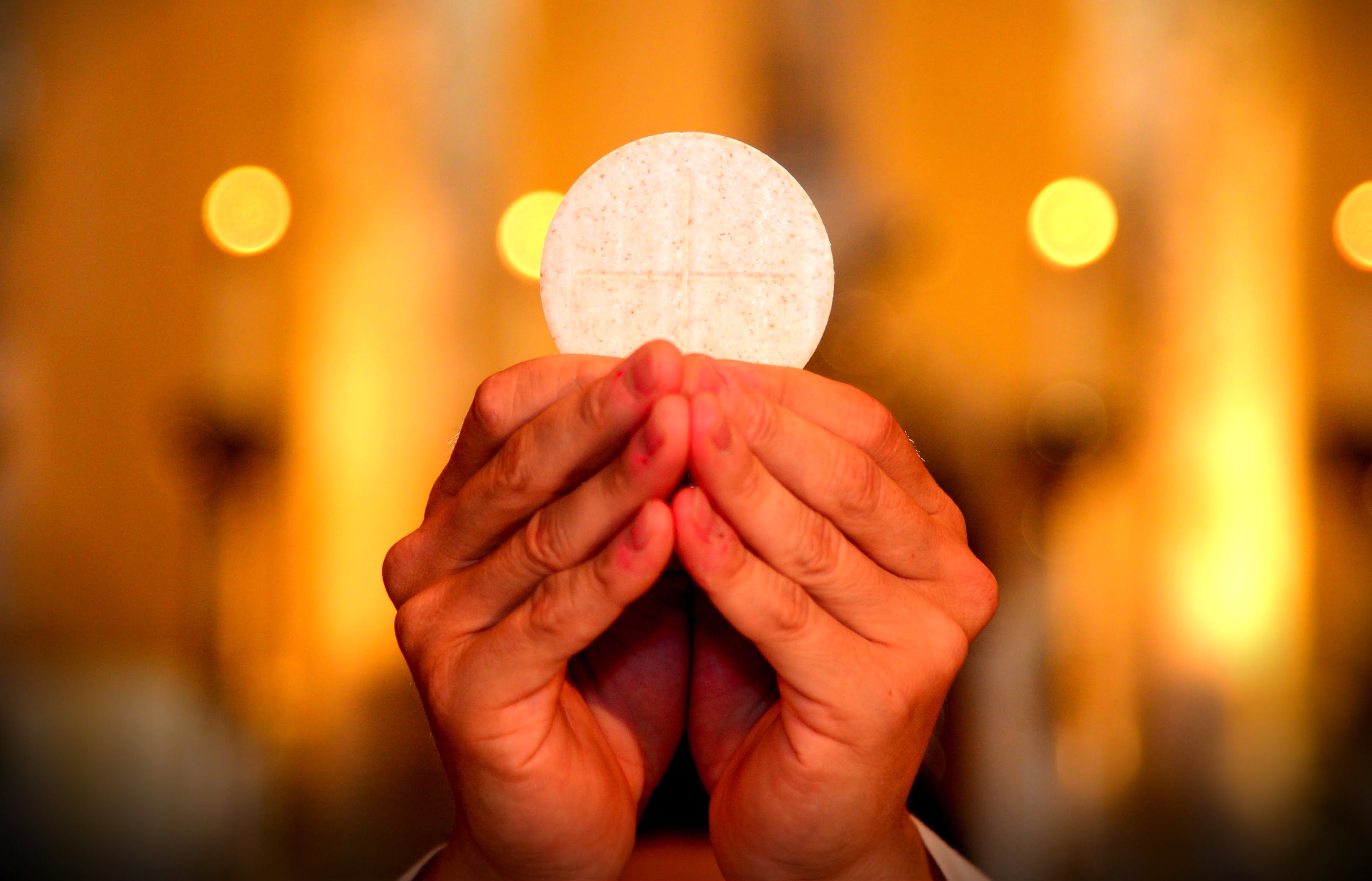 Image result for presence of the eucharist