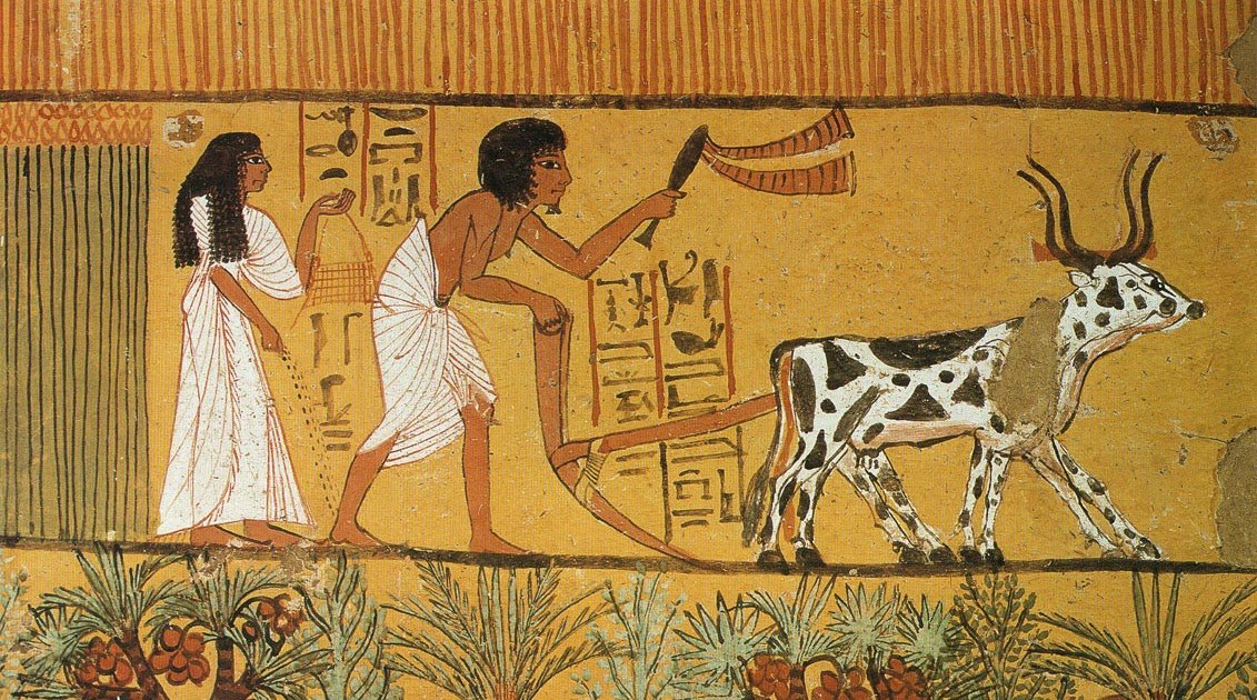 Ancient Egyptian Life