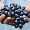 The reckless generosity of God in Matthew 20