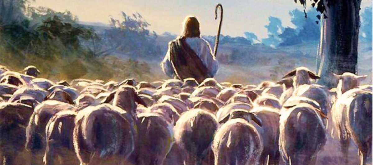 Jesus the Good Shepherd leads his sheep in John 10 Psephizo.