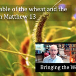 Good and evil in the Parable of the Weeds in Matthew 13 video discussion