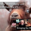 The ‘parable’ of the sheep and the goats in Matthew 25 video discussion