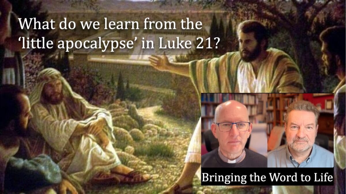 Is Luke 21 about the Second Coming—or something else? video discussion ...