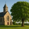 Is the Church of England growing at last?