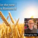 Longing for the new creation in Romans 8 video discussion wheat