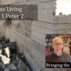 Growing as Living Stones in 1 Peter 2 video discussion