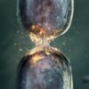 The Truth is Much Wilder? Awe and Atheism in BBC’s Evolution